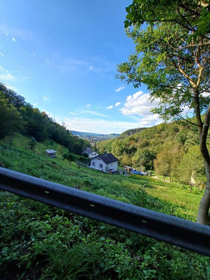 Ferienwohnung Neli Am Rhein Rheinbrohl المظهر الخارجي الصورة
