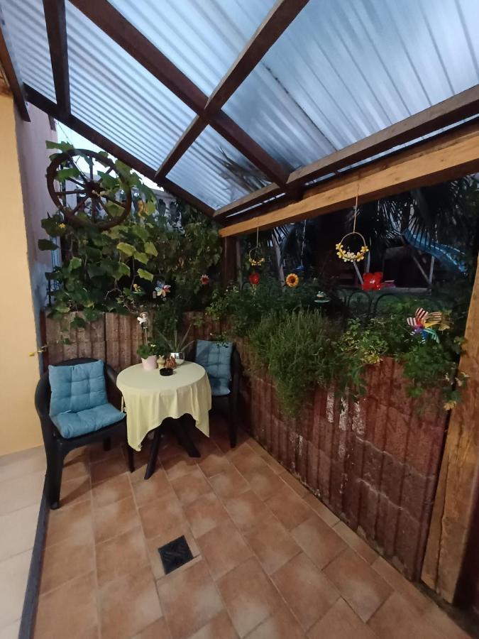 Ferienwohnung Neli Am Rhein Rheinbrohl المظهر الخارجي الصورة