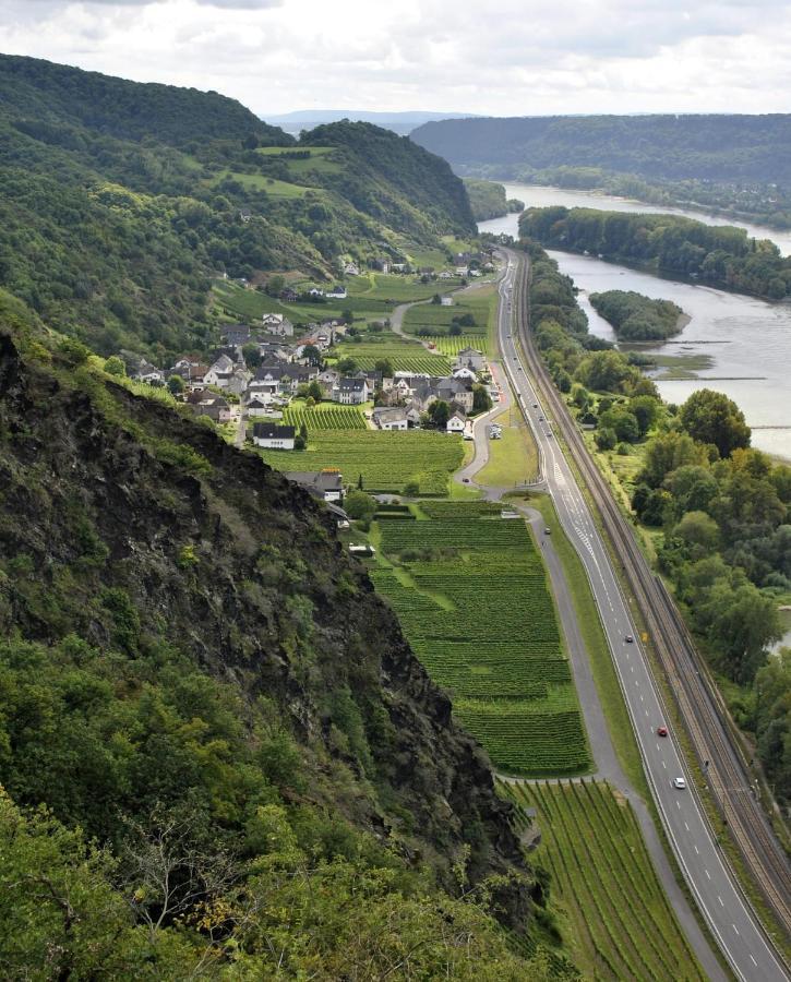 Ferienwohnung Neli Am Rhein Rheinbrohl المظهر الخارجي الصورة