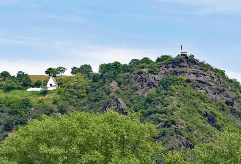 Ferienwohnung Neli Am Rhein Rheinbrohl المظهر الخارجي الصورة